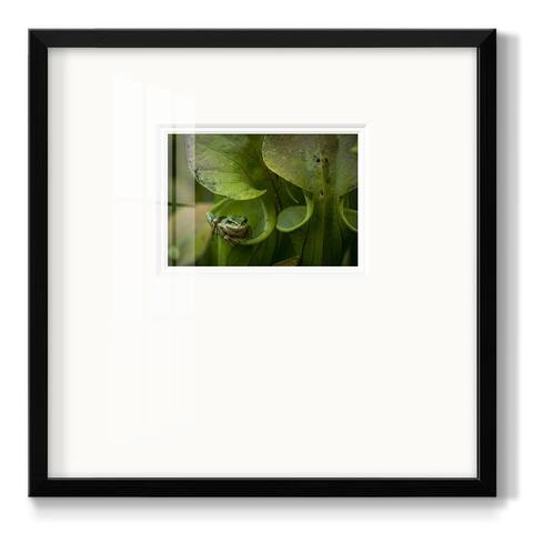 Arboreal RefugePremium Framed Print