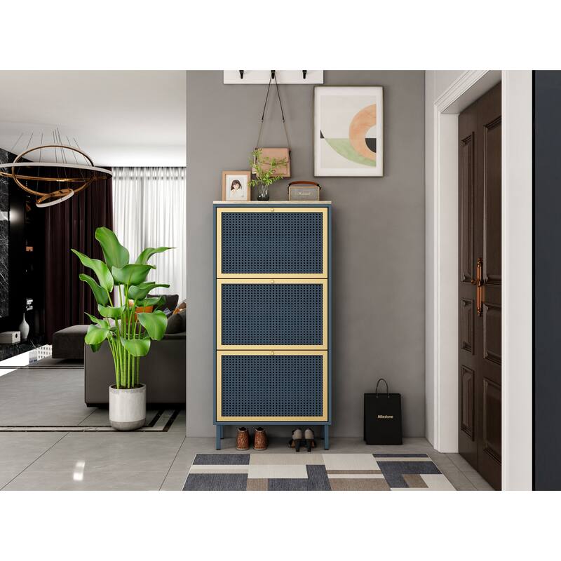 Metal and Rattan Shoe Storage Cabinet