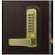 Option Bright Brass