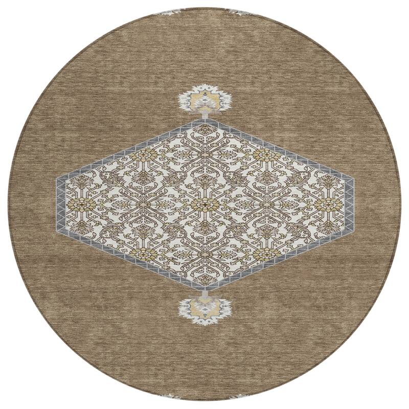 Machine Washable Indoor/ Outdoor Traditional Chantille Rug
