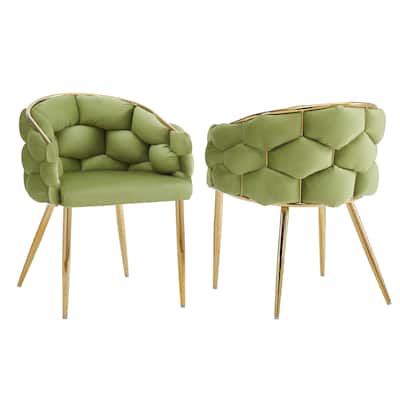 Set of 2 Luxury Accent Chair with Gold Legs