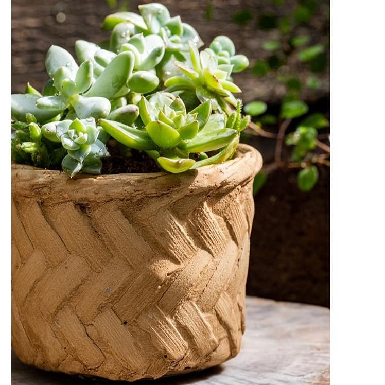 RusticReach Bamboo Looking Cement Planter