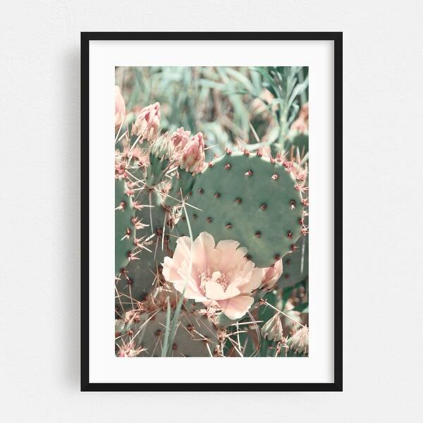 hedgehog and cactus Echinocereus rigidissimus rubrispinus Rainbow Hedgehog Cactus