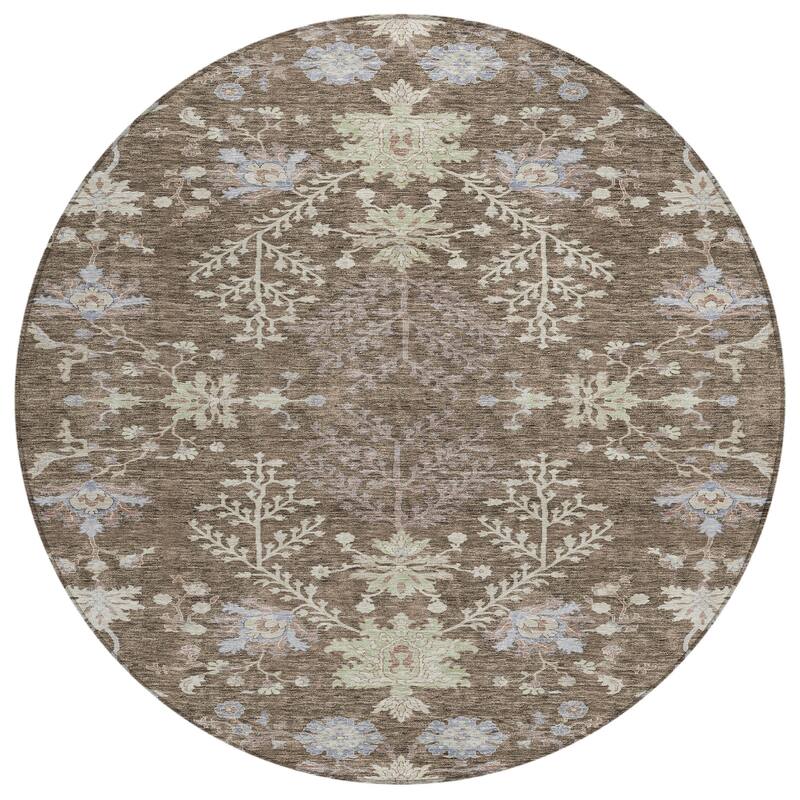Machine Washable Indoor/ Outdoor Boho Traditional Chantille Rug