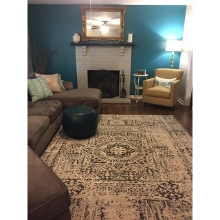 Safavieh Evoke Deb Vintage Boho Medallion Distressed Rug