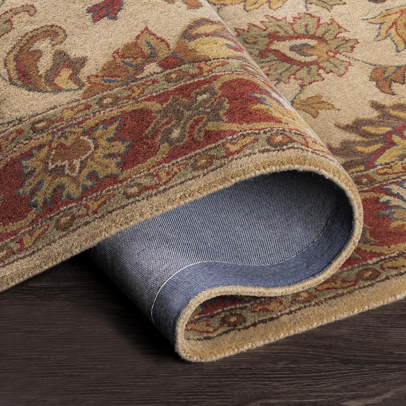 Livabliss Caesar Updated Traditional Border Area Rug.