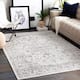 Artistic Weavers Antonie Distressed Updated Traditional Area Rug - 7'10" x 10'2" - Light Grey