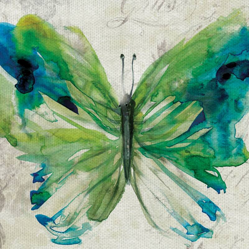 Butterfly Sketch I, II, III, IV by Carol Robinson Canvas Art Prints