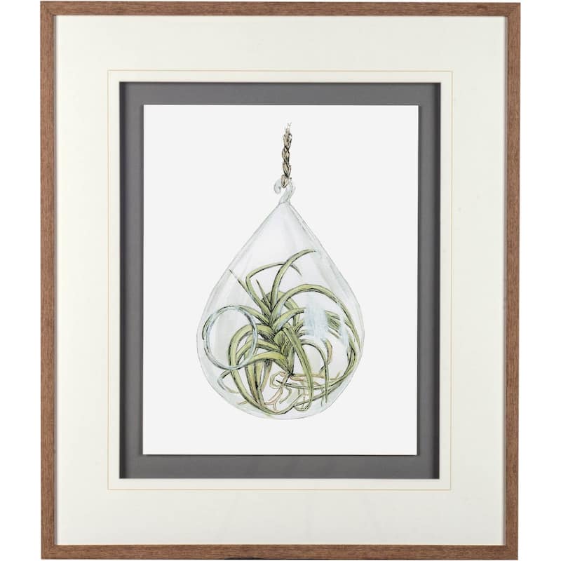 Air Plant 3 Framed Art Print
