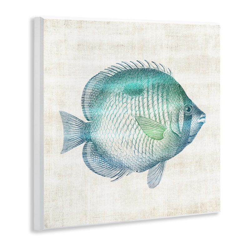 Stupell Fish Impression Sea Life Wall Plaque Art Design By Susan Arnot