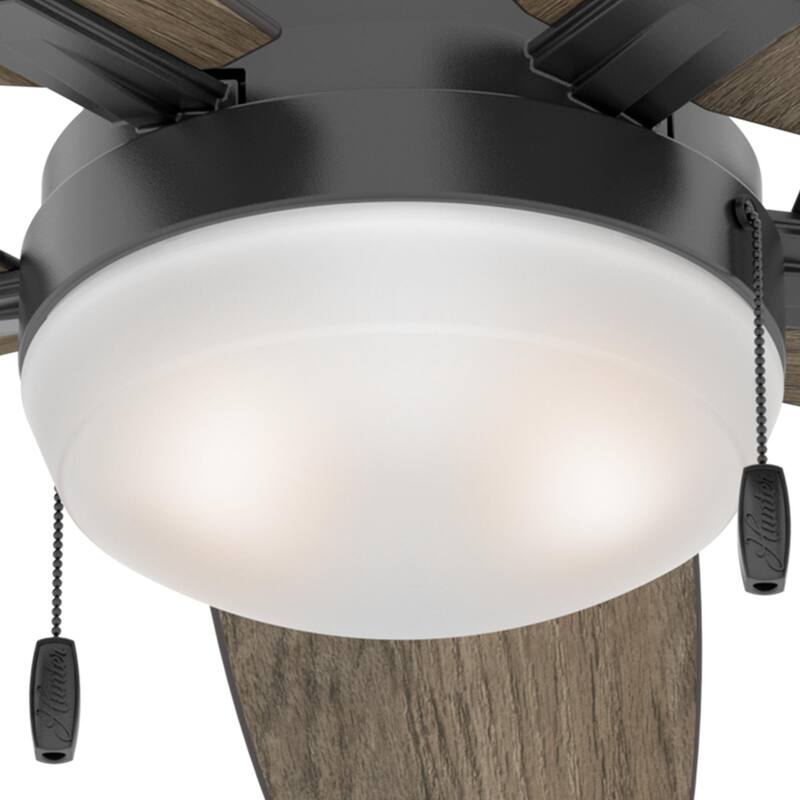 Hunter Morgantown Ceiling Fan with LED Light, Pull Chain - Transitional, Contemporary