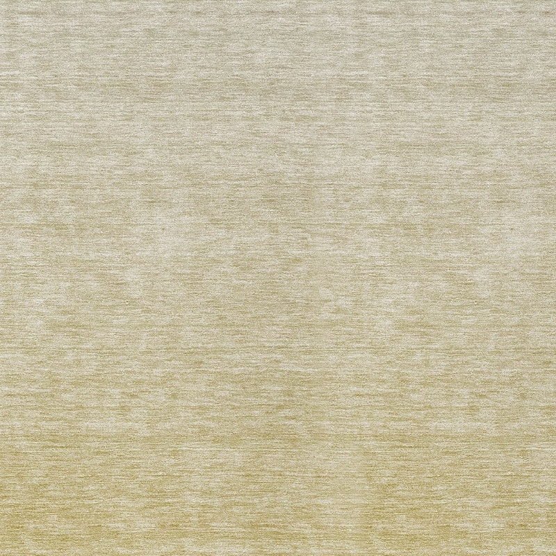 HomeRoots Ombre Transitional Rectangle Outdoor Rug