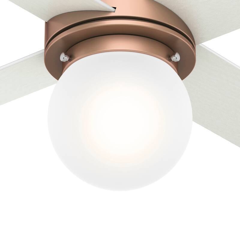 Hunter 52" Hepburn Ceiling Fan with LED Light Kit and Wall Control - Vintage, Mid-Century Modern, Transitional