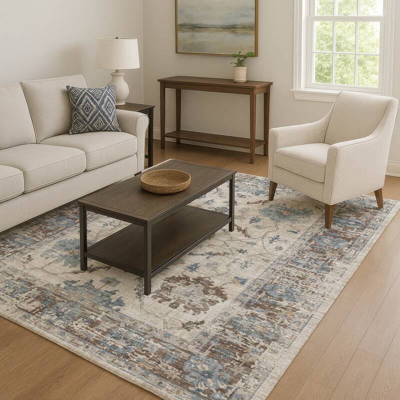 Premium Washable Super Soft Vintage Traditional Mayfield Rug