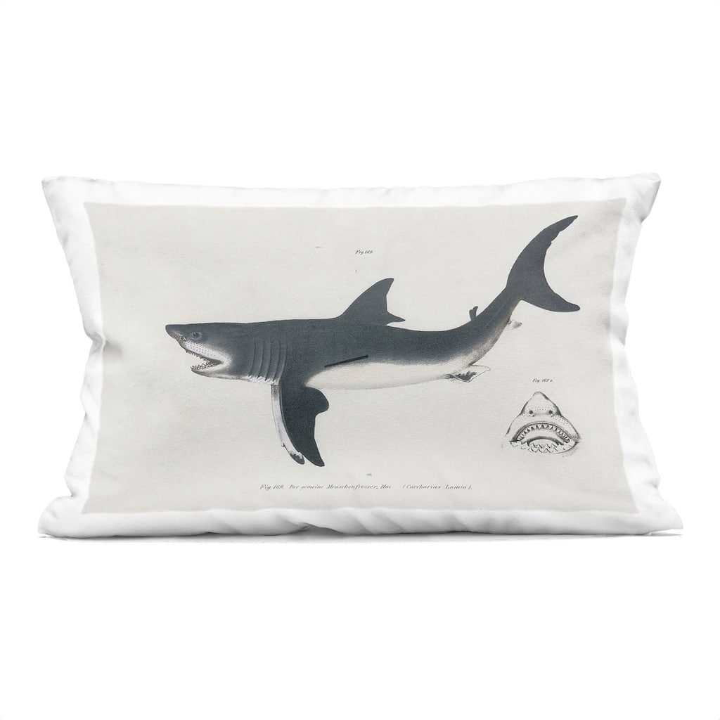 Stupell Detailed Shark Diagram Decorative Printed Throw Pillow Design by Phillipa Katz