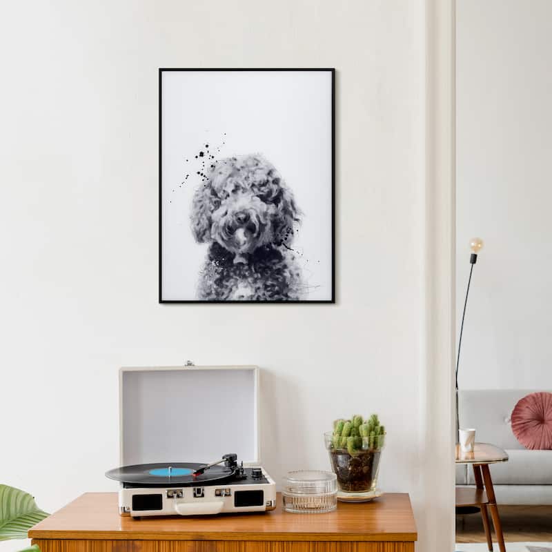 "Labradoodle" Black and White Pet Art on Printed Glass Encased with a Black Anodized Frame