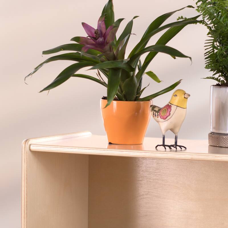 Guidecraft EdQ Essentials Two Shelf Open Storage 30''