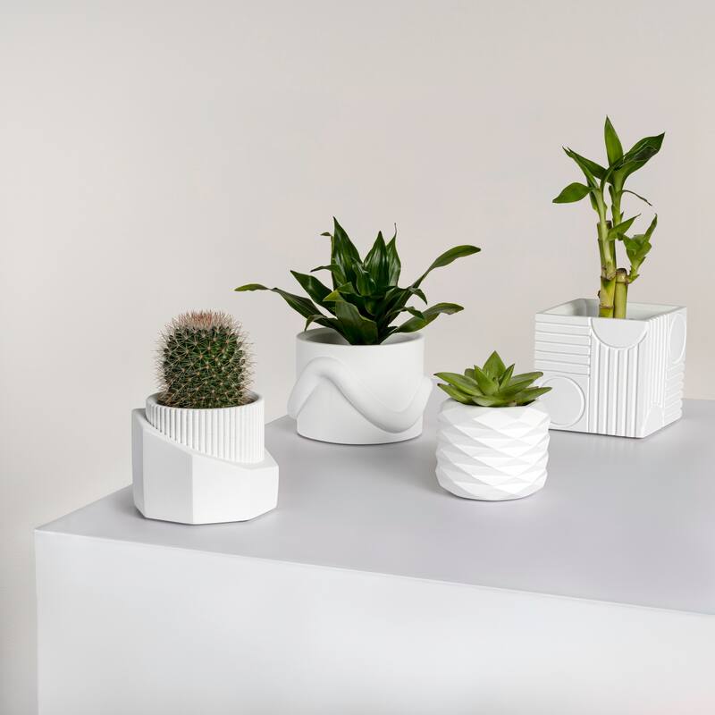 JONATHAN Y Romy Modern Minimalist Handmade Concrete Geometric Planter Set with Drainage Holes (Set of 4)