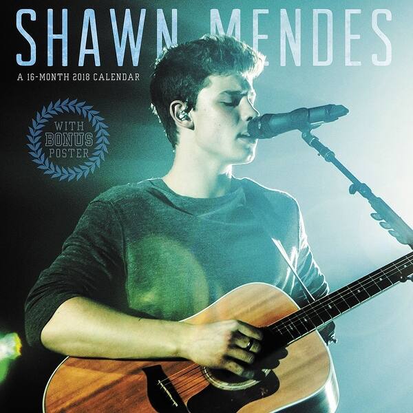 Shop 2018 Shawn Mendes Wall Calendar Overstock 18140691