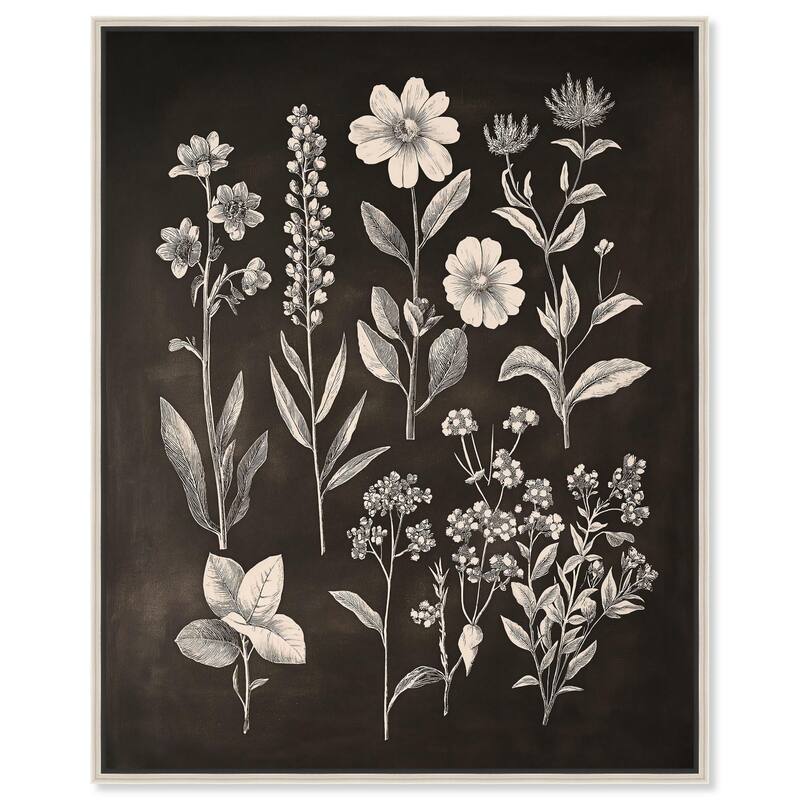 Herbarium on Dark Canvas by Art Remedy - Silver - 20" x 24"