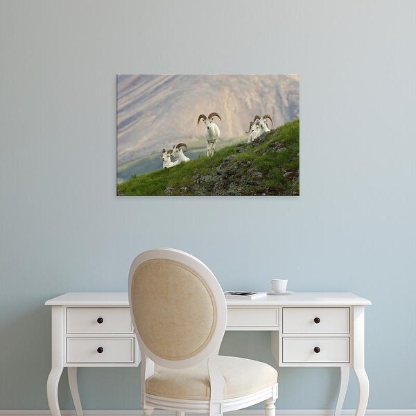 Easy Art Prints Hugh Rose's 'A Group Of Dall Sheep Rams Rest On Marmot Rock' Premium Canvas Art