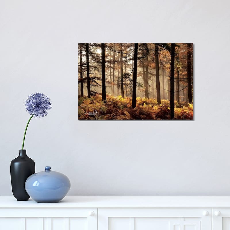 iCanvas "Fern Forest" by Martin Podt Canvas Print - 12x18x1.5