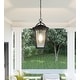 preview thumbnail 6 of 5, Darius 1-Light Outdoor Hanging Lantern in Earth Black