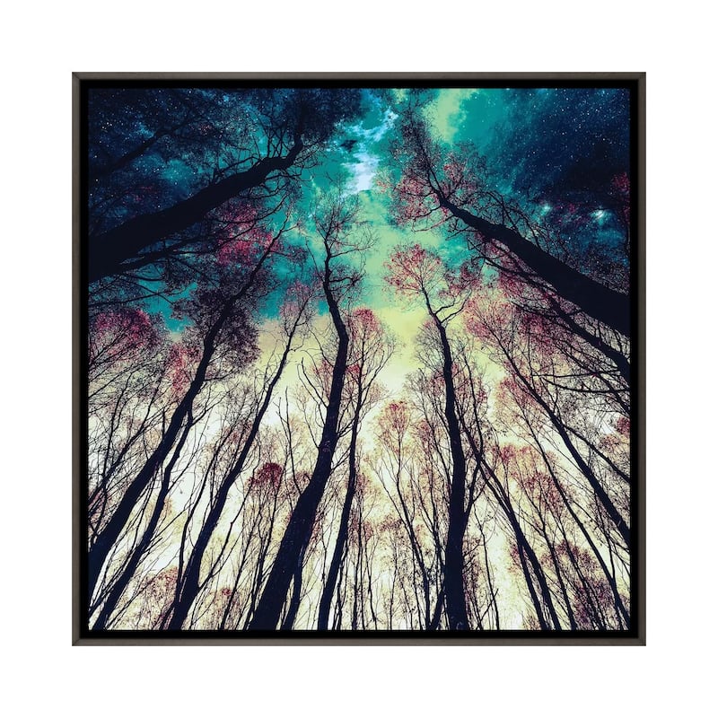 iCanvas "Nordic Lights" by Riza Peker Framed - 12x12 - Charcoal