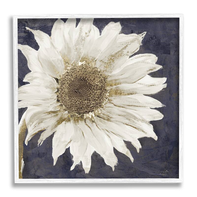 Stupell Modern Distressed Daisy Framed Giclee Texturized Wall Art, Design By Sophie 6 - 24 x 24 - White