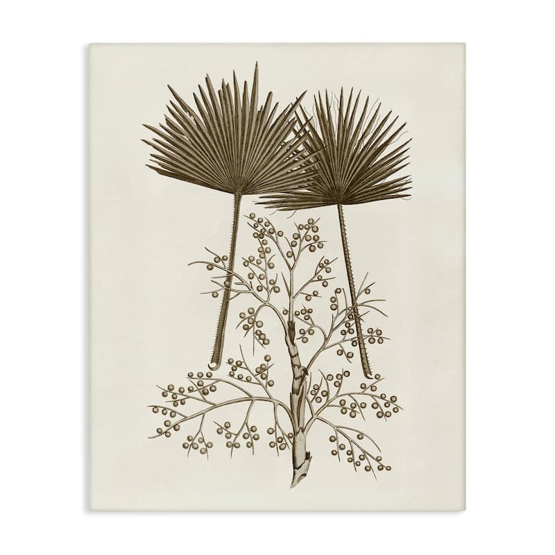 Stupell Palm Leaf & Olive Branches Canvas Wall Art Design By Phillipa Katz - 36 x 48