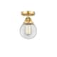 Option Clear / Satin Gold