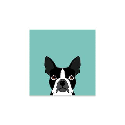 Boston Terrier Print On Acrylic Glass by Pet Friendly