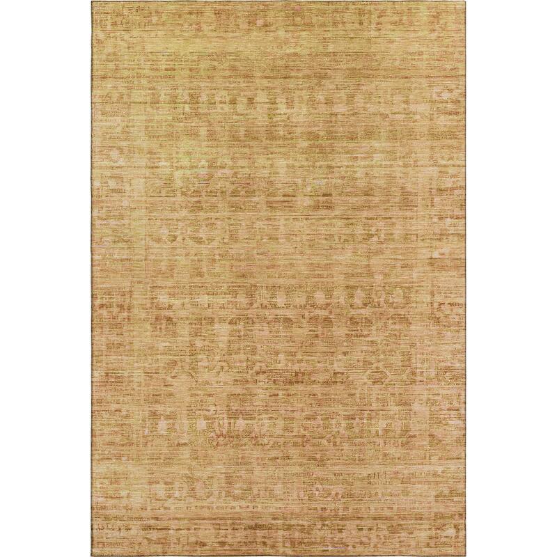 Premium Washable Super Soft Vintage Traditional Mayfield Rug