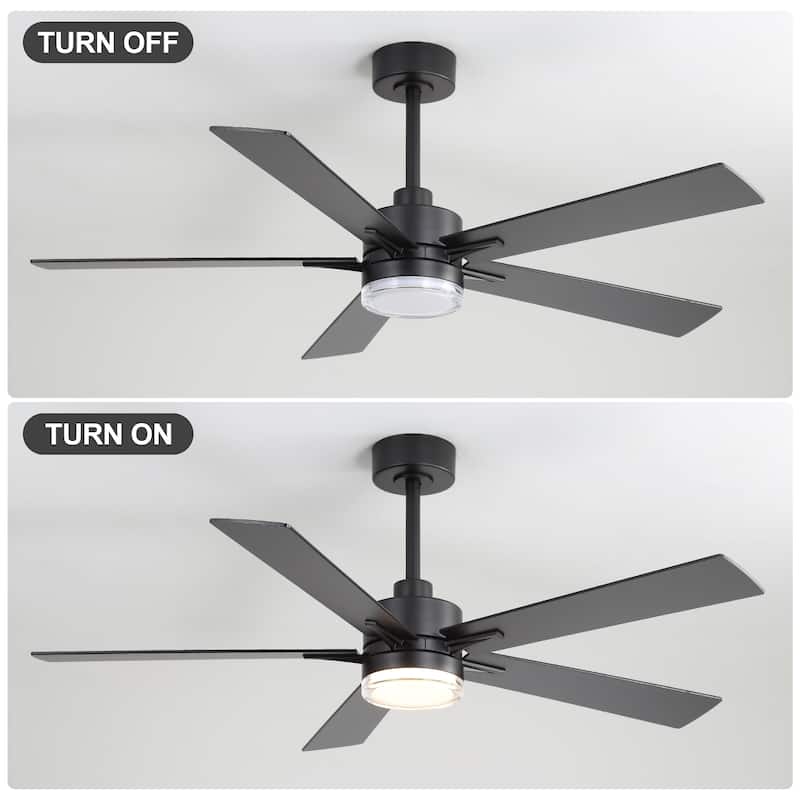 52" Modern Black Reversible 5-Blade Clear Acrylic Lens Ceiling Fan with Light and Remote