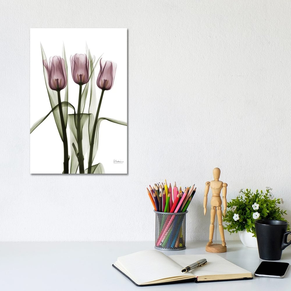 iCanvas "Tulips II" by Albert Koetsier Canvas Print