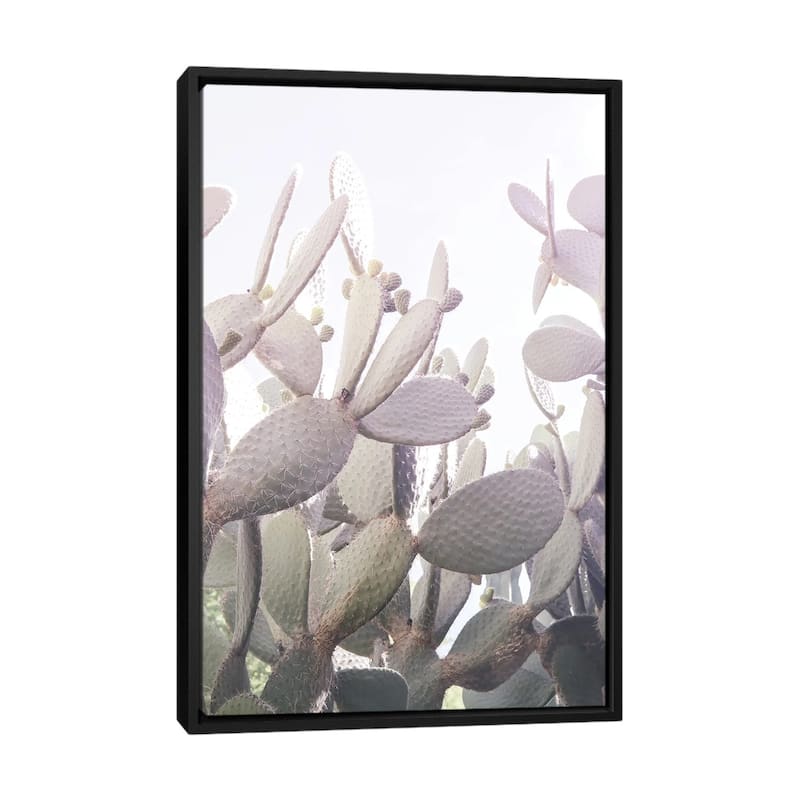 iCanvas "Desert Prince II" by Shot by Clint Framed - Black - 40x26