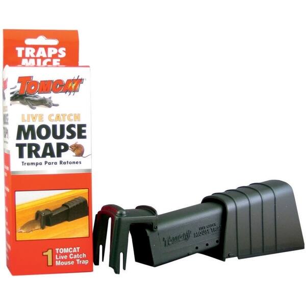 Shop Tomcat 33538 Live Catch Mouse Trap Single Catch Free