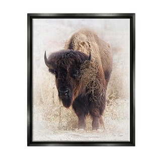 Stupell Bison Grazing Photography Framed Floater Canvas Wall Art Design ...
