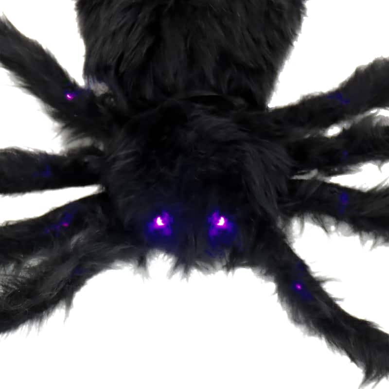 National Tree Company 50 in. Halloween Spider with Battery-Operated LED Lights