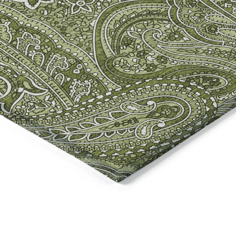 HomeRoots Paisley Traditional Rectangle Outdoor Rug