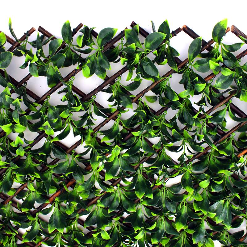 Gardenia Trellis - 20 x 108