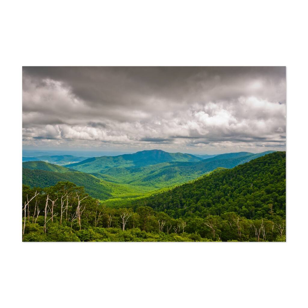 Shenandoah National Park Virginia Pinnacles Overlook Art Print/Poster