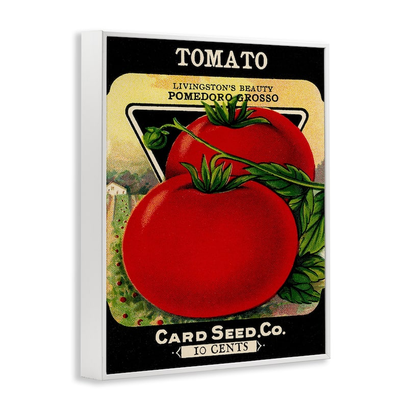Stupell Vintage Garden Tomato Framed Giclee Art Design By Lil' Rue