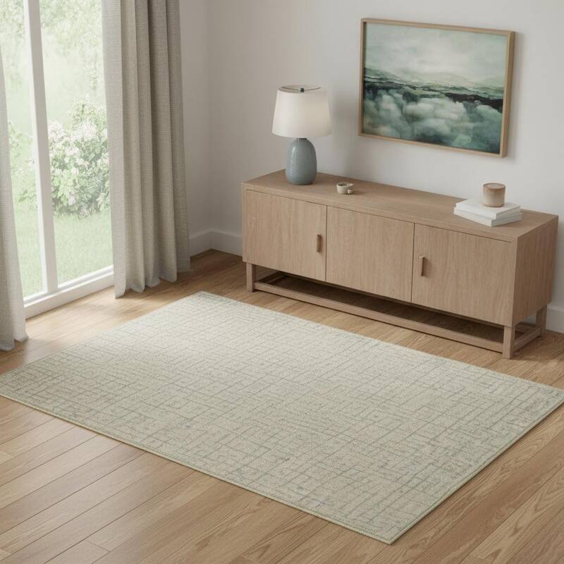 HomeRoots Abstract Geometric Modern, Contemporary Rectangle Area Rug - 4' X 6'
