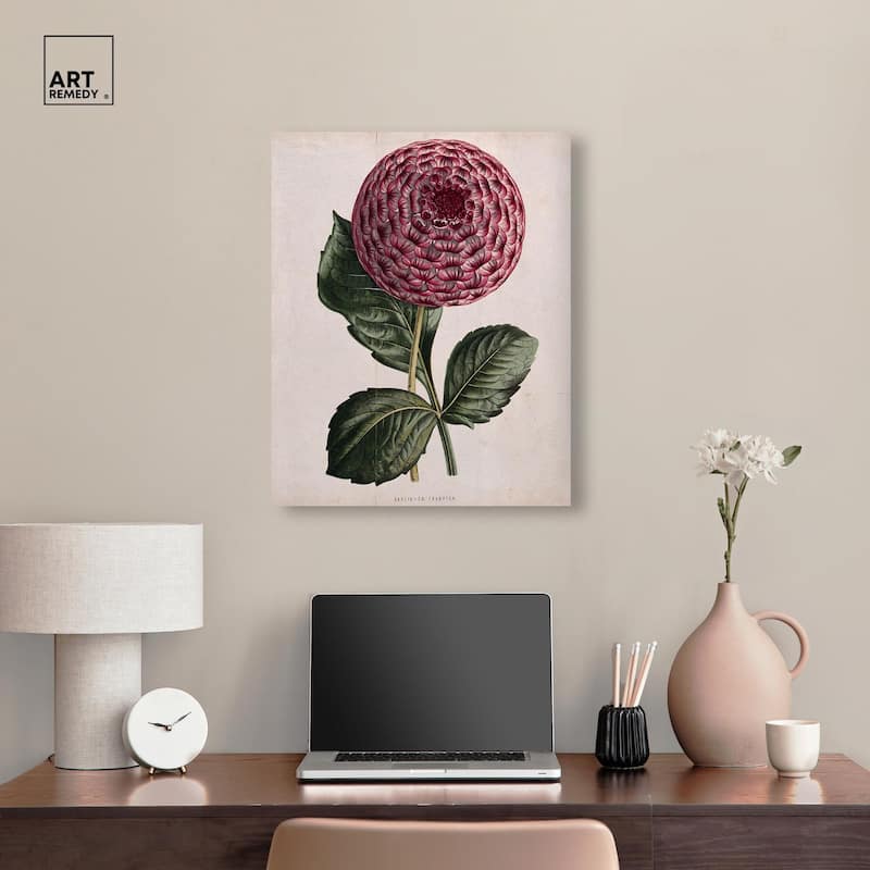 A dahlia Canvas by Art Remedy, Gallery Wrapped