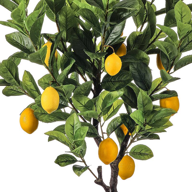 36" Potted Lemon Bush