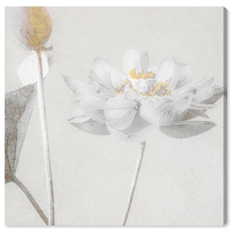 Wynwood Studio 'Kazumasa Antique III' Floral and Botanical Wall Art Canvas Print Florals - White, Gold