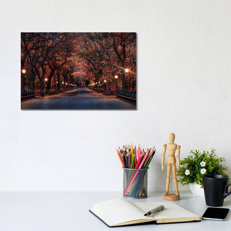 iCanvas "Central Park Fall" by David Gardiner Canvas Print - 8x12x0.75