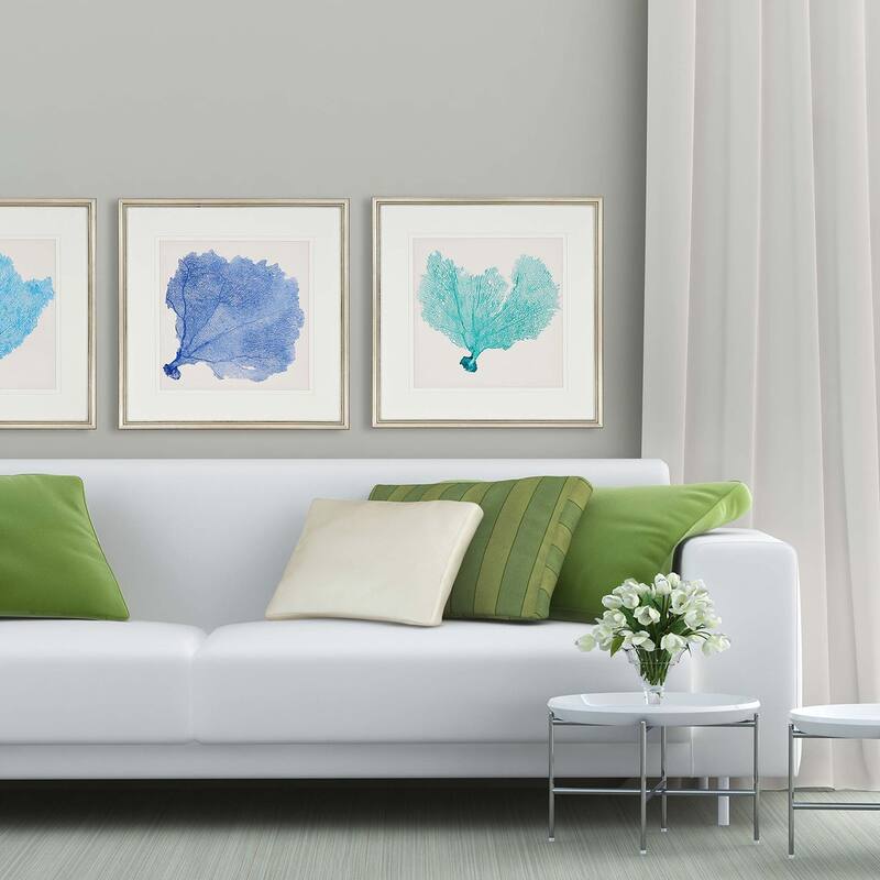 Sea Fan II S/3 Framed Art Giclee Under Glass - Blue