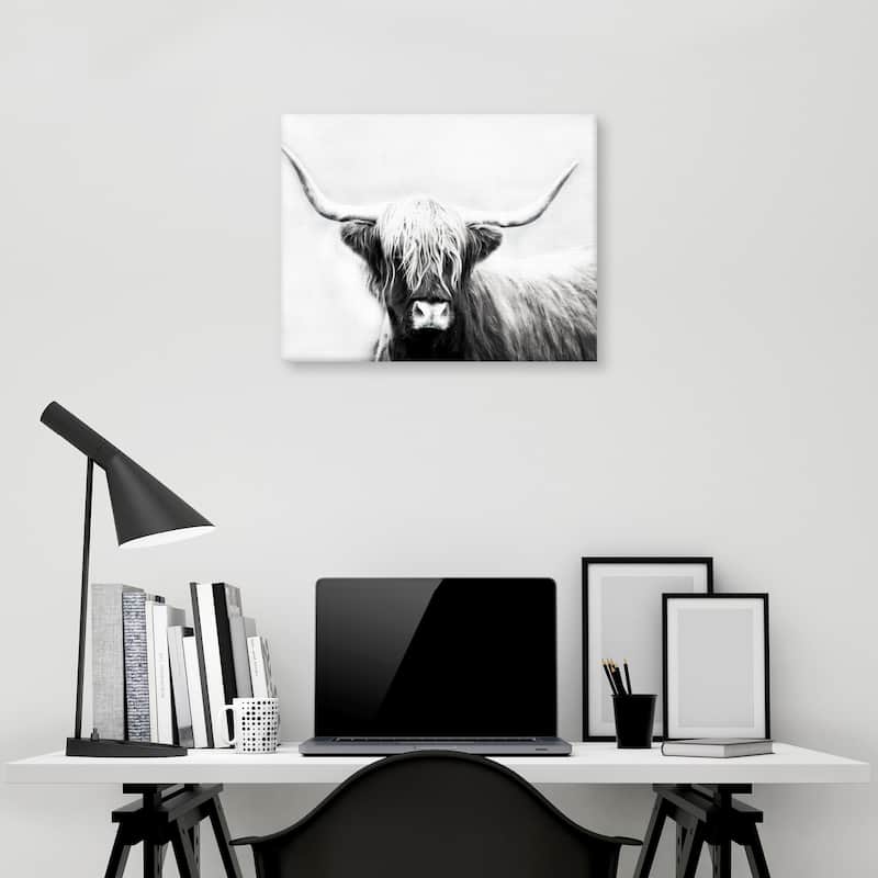 Highland Longhorn by Danita Delimont Canvas Art Print